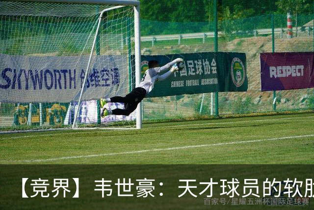 【竞界】韦世豪：天才球员的软肋 洪七公效应的外溢